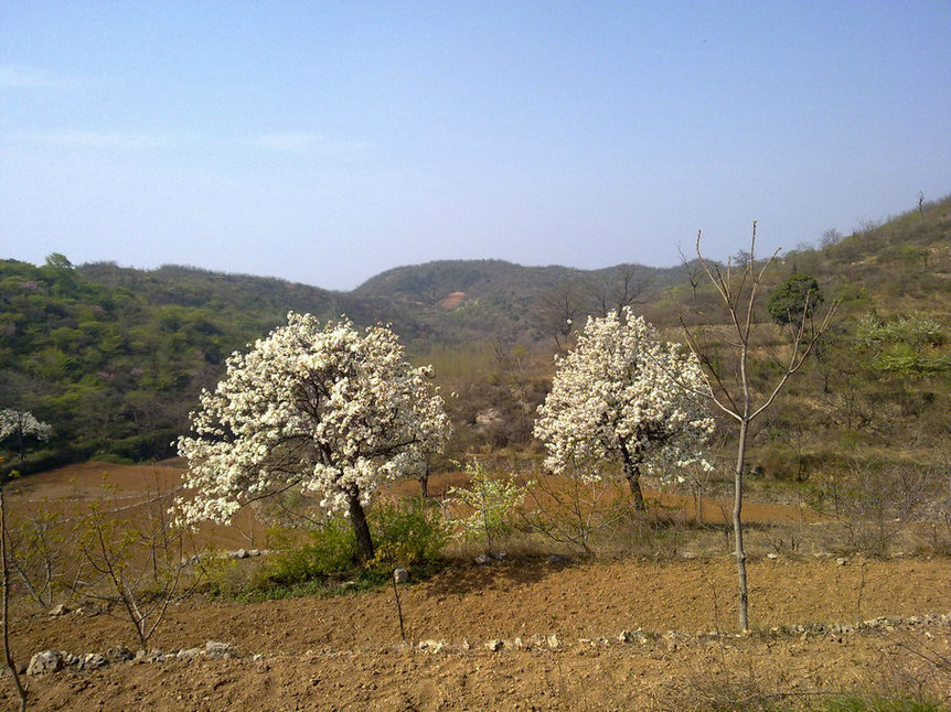 20140404218.jpg